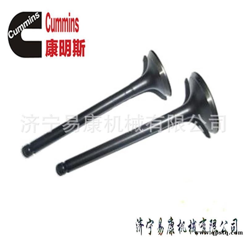康明斯QSM11进排气门 发动机大修件图2