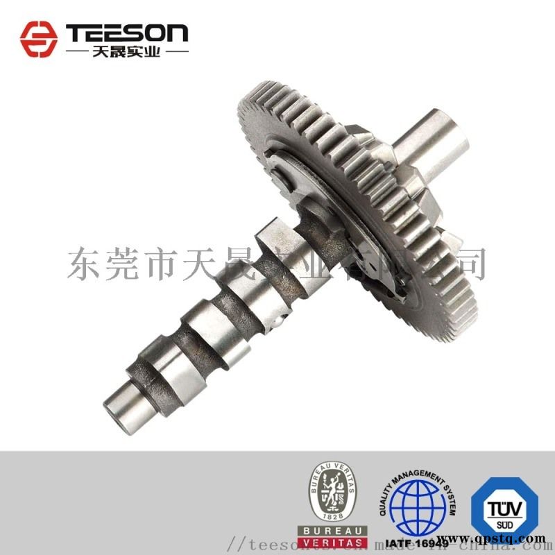 定制20CrMo合金钢非标长齿轮轴图3