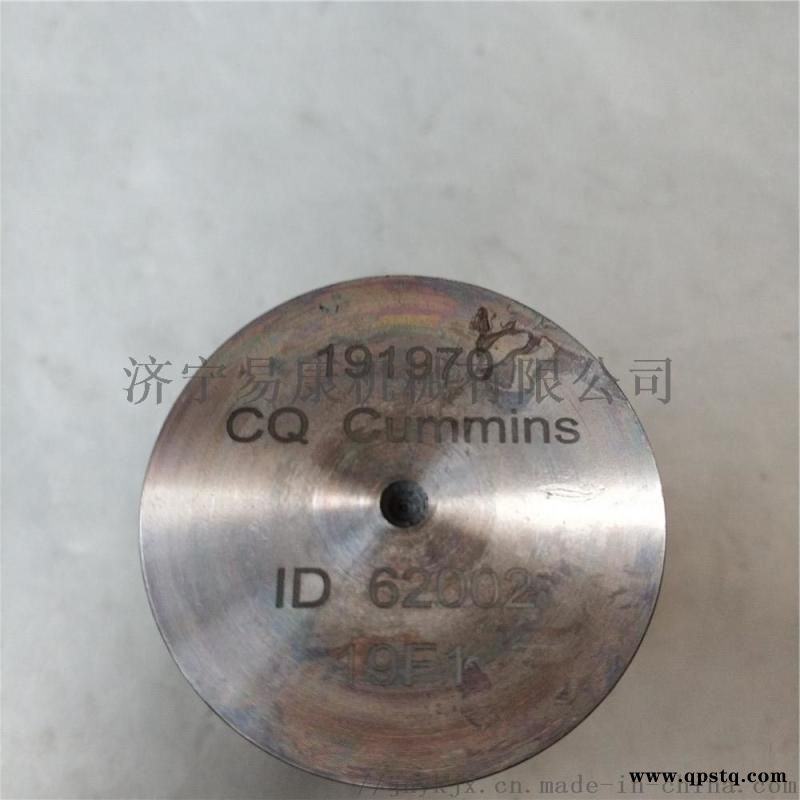 康明斯QSN发动机活塞销191970图5