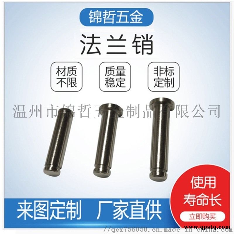 厂家非标定制 平头打孔销轴不锈钢定位销钉图2