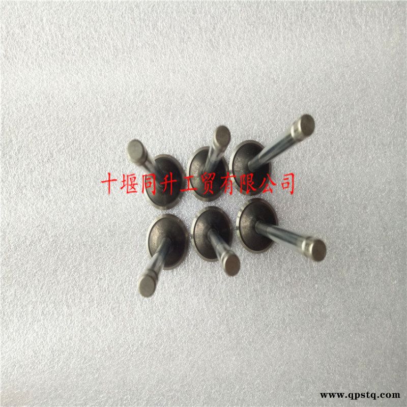 重庆康明斯NT855发动机配件 进排气门总成图5