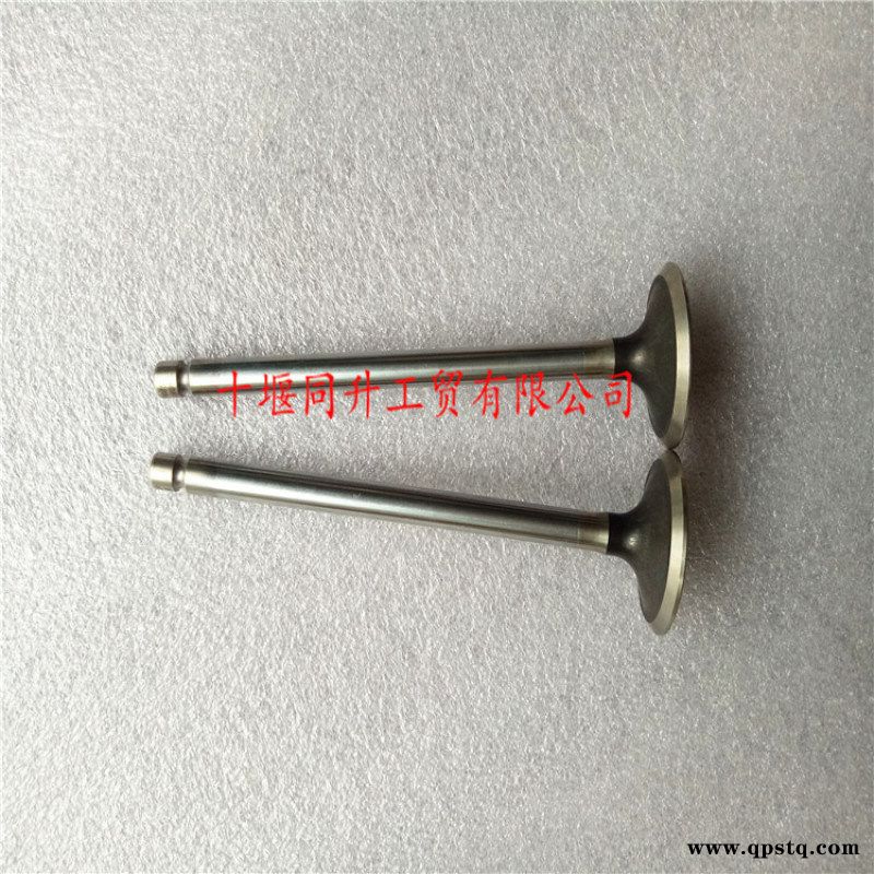 柴油机发动机排气门 康明斯6L发动机零配件图3