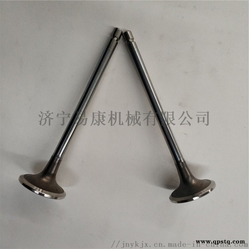 康明斯QSL9发动机排气门图4