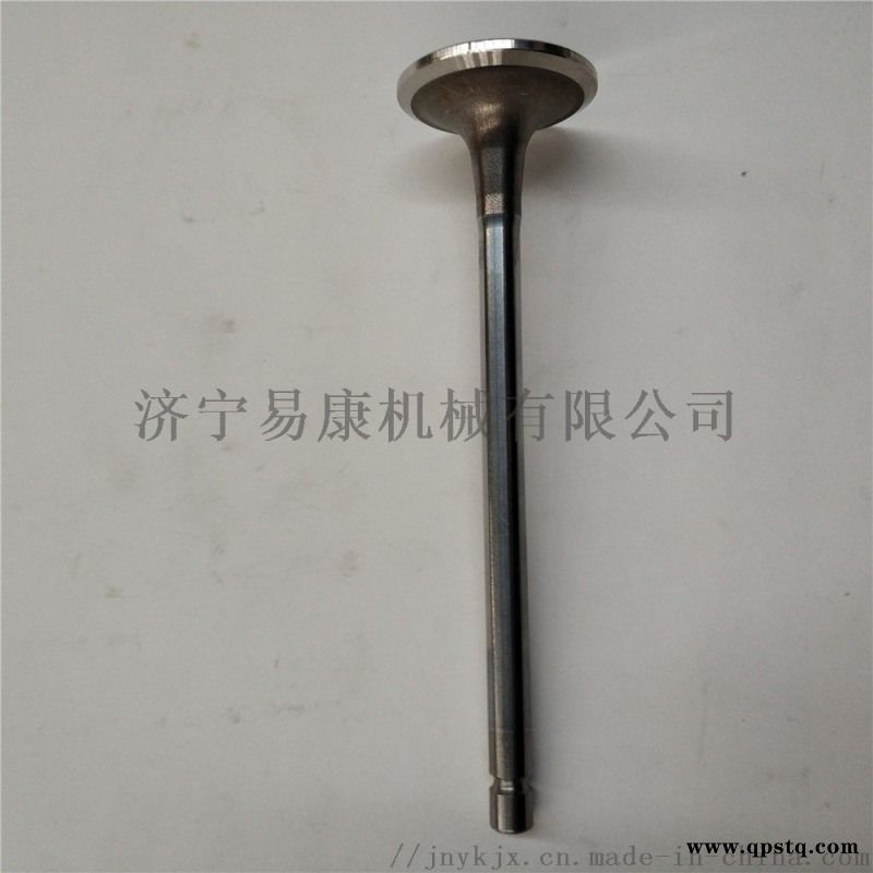 康明斯QSL9发动机排气门图2