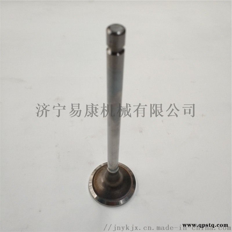 康明斯QSL9发动机排气门图1