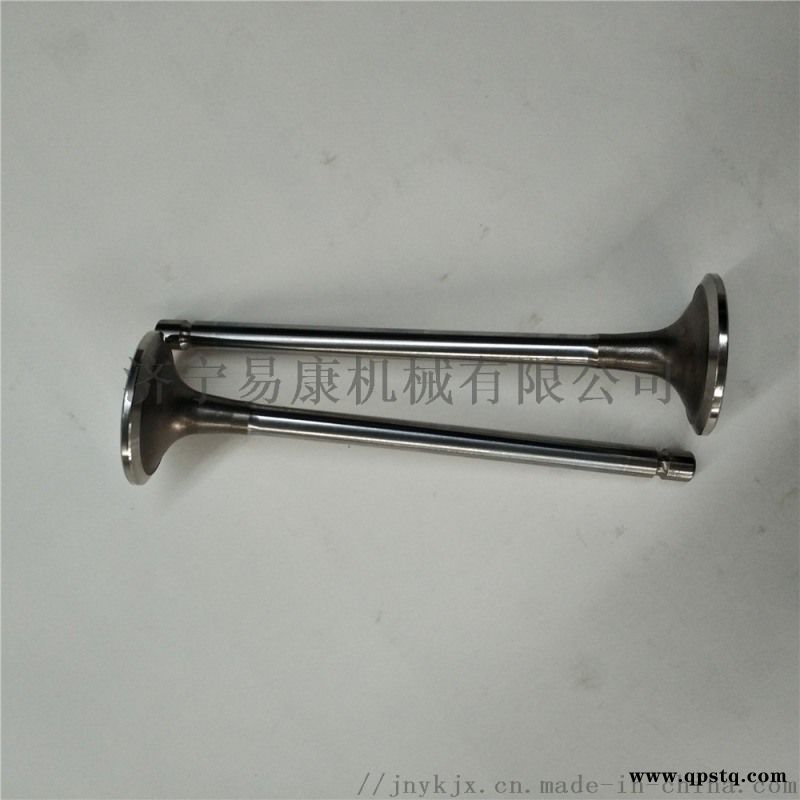 康明斯QSL9发动机排气门图3