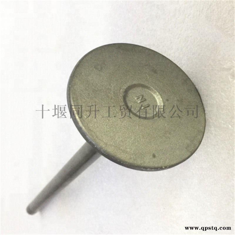 原厂康明斯QSK23发动机配件气门4007179图3