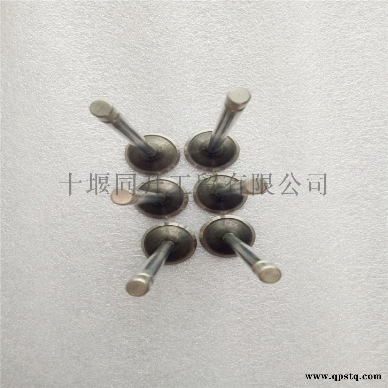 康明斯ISC8.3发动机配件排气门3921444图5