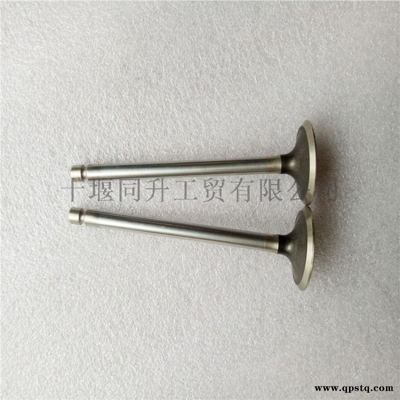 康明斯ISC8.3发动机配件排气门3921444图3