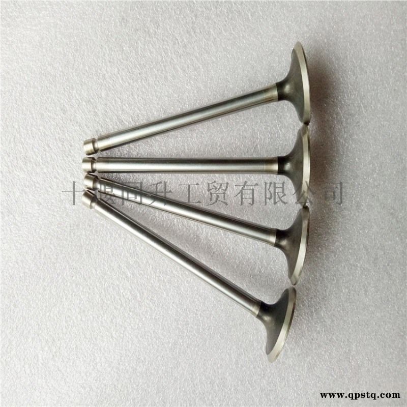 康明斯ISC8.3发动机配件排气门3921444图4