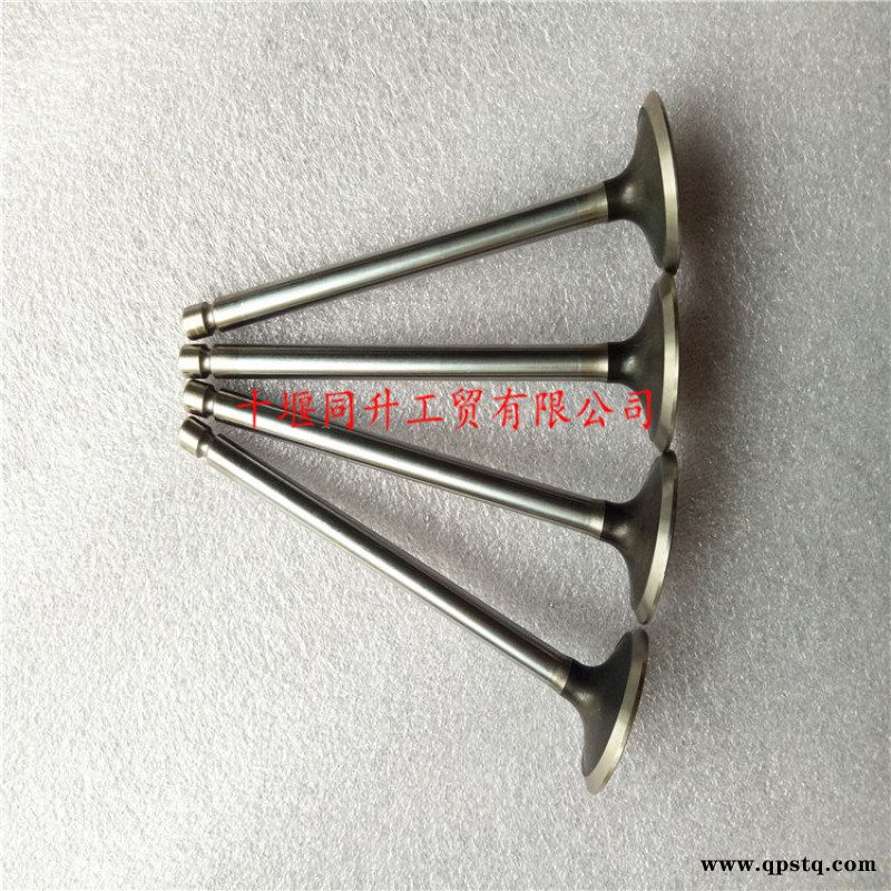 东风康明斯6BT柴油发动机排气门C4995554图4