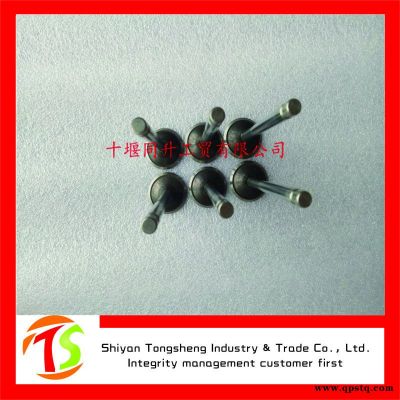 康明斯ISDE发动机配件进气阀3940734排气门