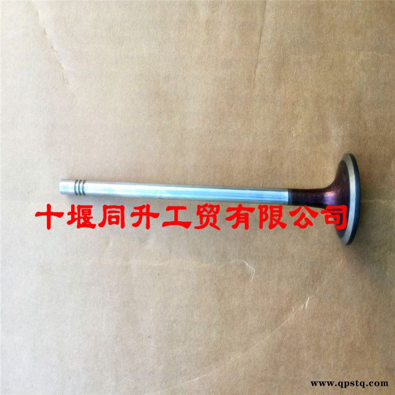 D5010222711东风雷诺发动机进气门总成图5