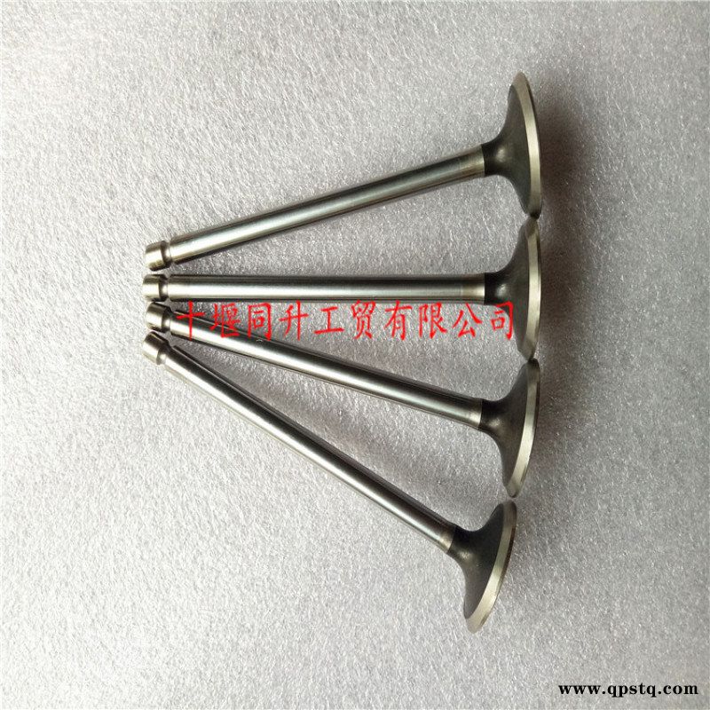 康明斯6L8.9发动机配件进气门C4981794图4