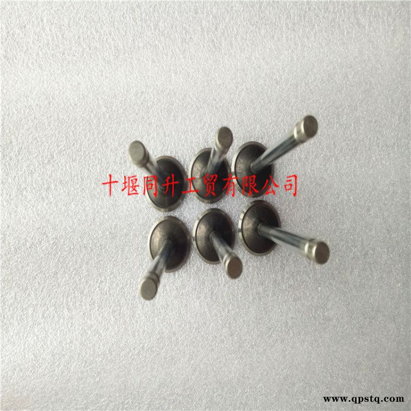 康明斯6L8.9发动机配件进气门C4981794图5