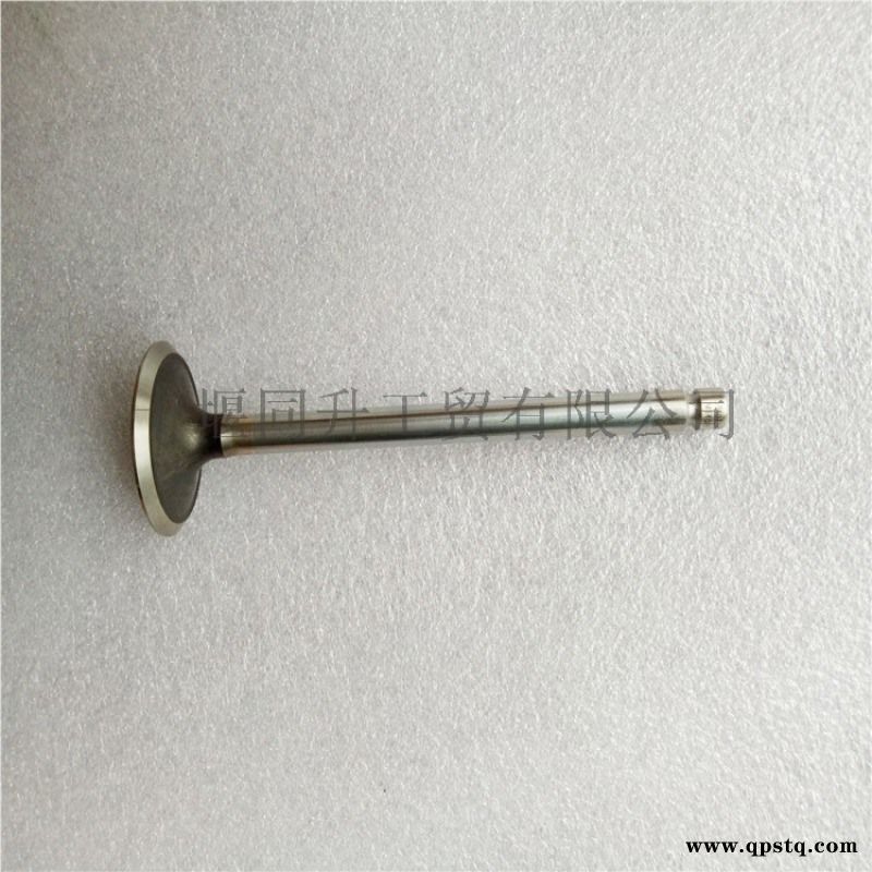 进口康明斯ISC8.3发动机进气门3924492图2