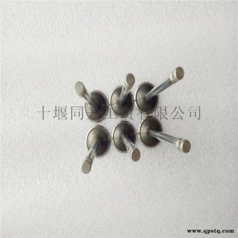 进口康明斯ISC8.3发动机进气门3924492图5