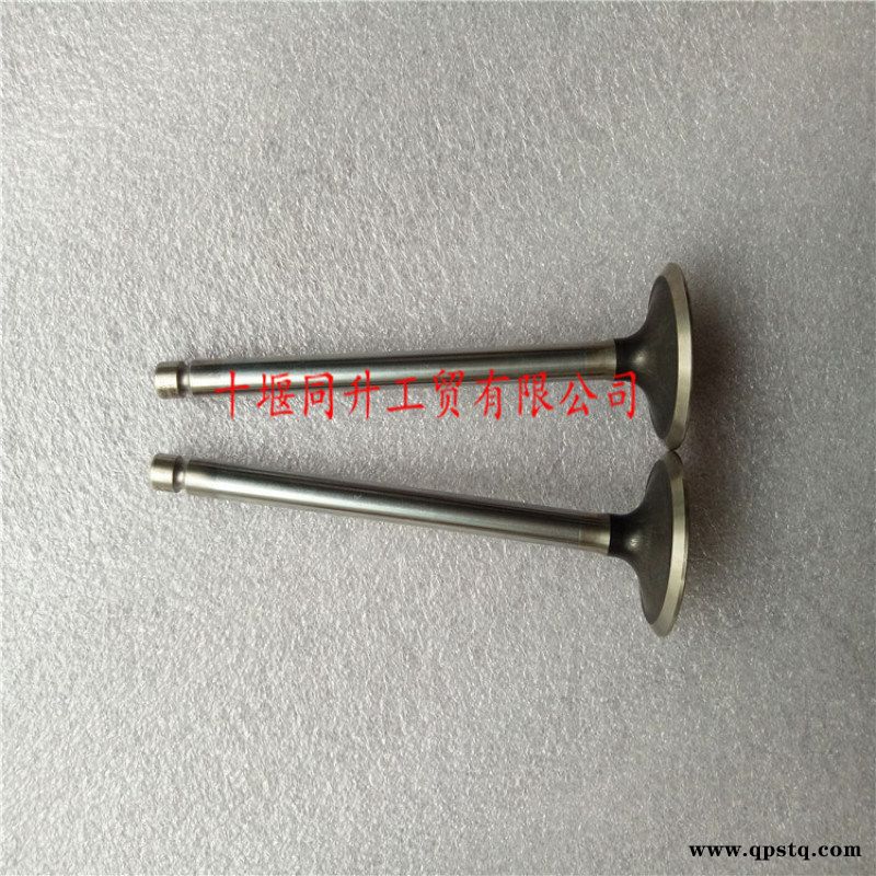 康明斯发动机总成ISDe进气阀3802924进气门图2