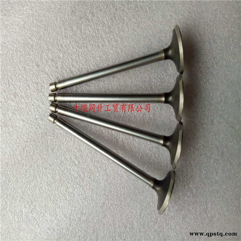 康明斯发动机6CT进气门C3924492进气阀配件图4