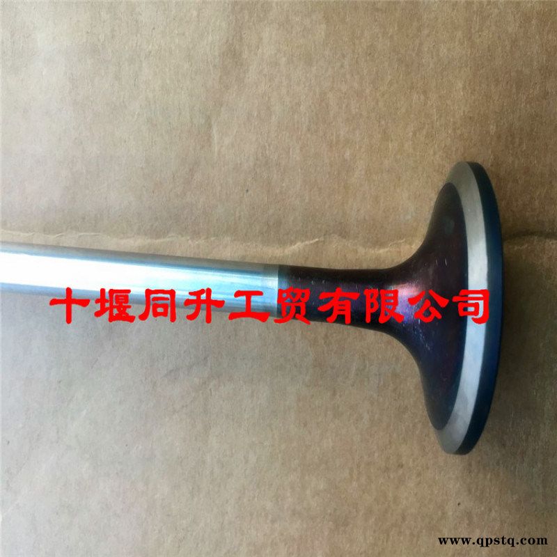 东风雷诺发动机排气门D5010222712总成图2