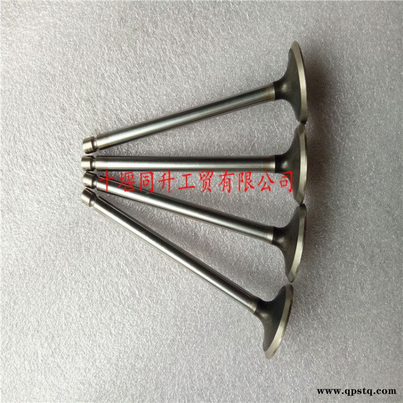 康明斯QSB5.9发动机配件进排气门3920867图3