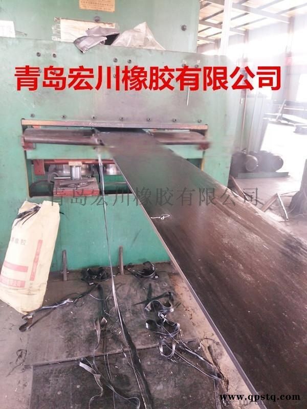 上料斗提升机钢丝绳皮带 斗提机钢丝绳胶带价格图3