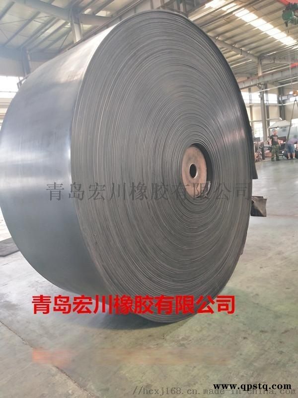 供应斗提机钢丝皮带 钢丝绳芯提升皮带青岛厂家直销图3