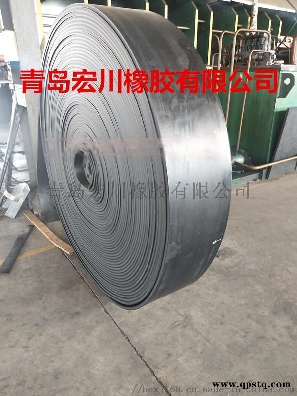 供应斗提机钢丝皮带 钢丝绳芯提升皮带青岛厂家直销图2