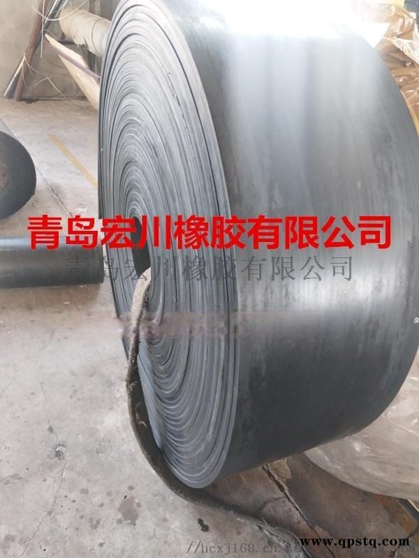 供应斗提机钢丝皮带 钢丝绳芯提升皮带青岛厂家直销图5