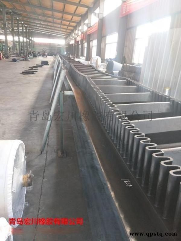 山东大倾角挡边带 大倾角挡边皮带图3