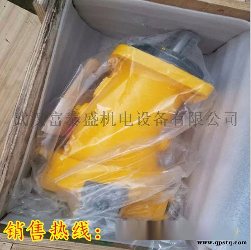 A11V0190LRDU2/11R-NZD12NOO地泵主油泵厂家图4