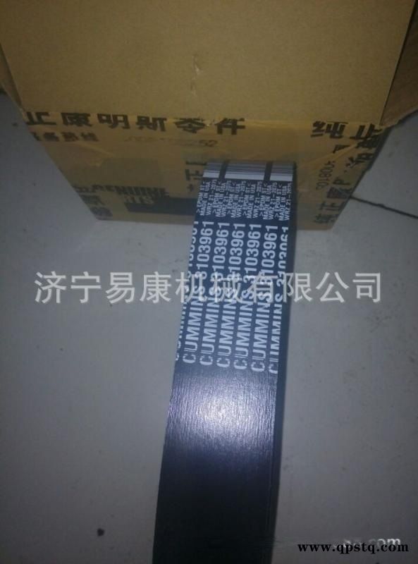 康明斯QSM11皮带12PK皮带3103961图2