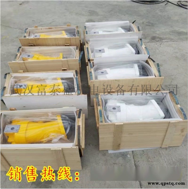 10100077齿轮油泵 厂家图3