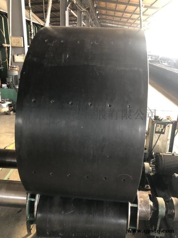 斗提机钢丝绳芯皮带图3