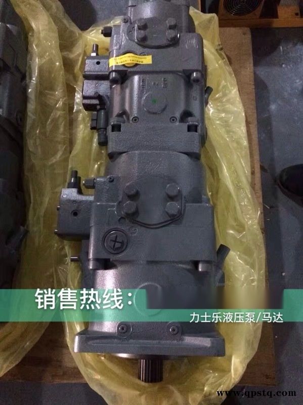 ALA10V063LA8DS/53R-VUC12N00S4074高空作车泵车主油泵德国图5