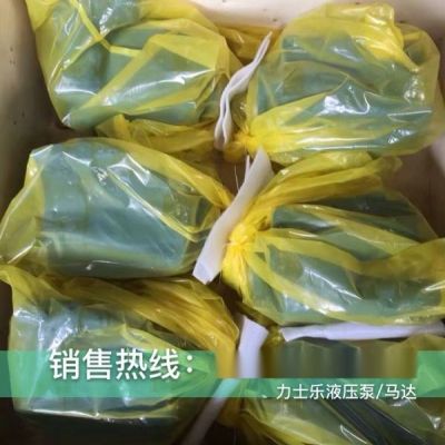 ALA10V063LA8DS/53R-VUC12N00S4074高空作车泵车主油泵德国