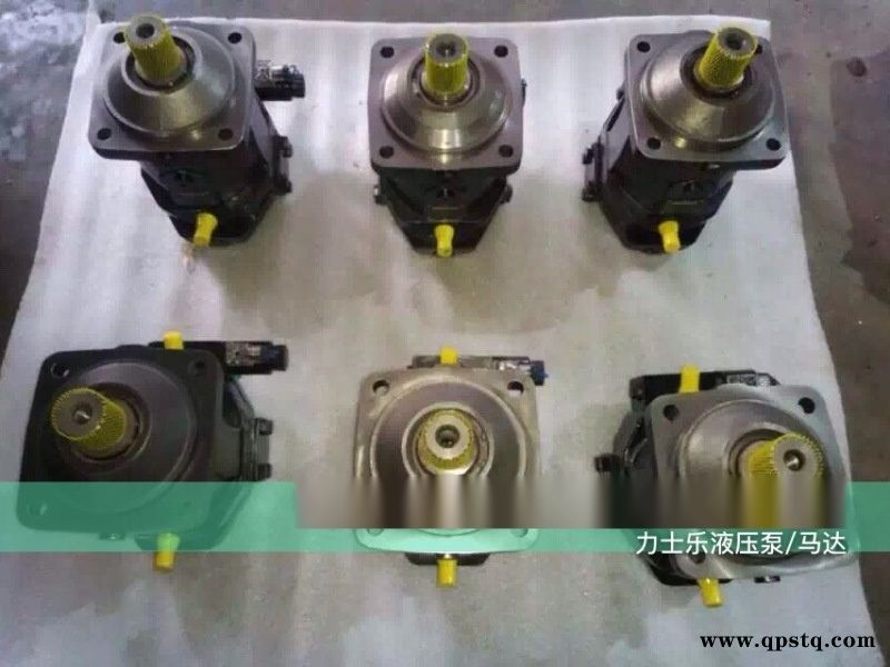 A4VG250EP4D2/32LNZD10F021DH运梁车油泵德国图5