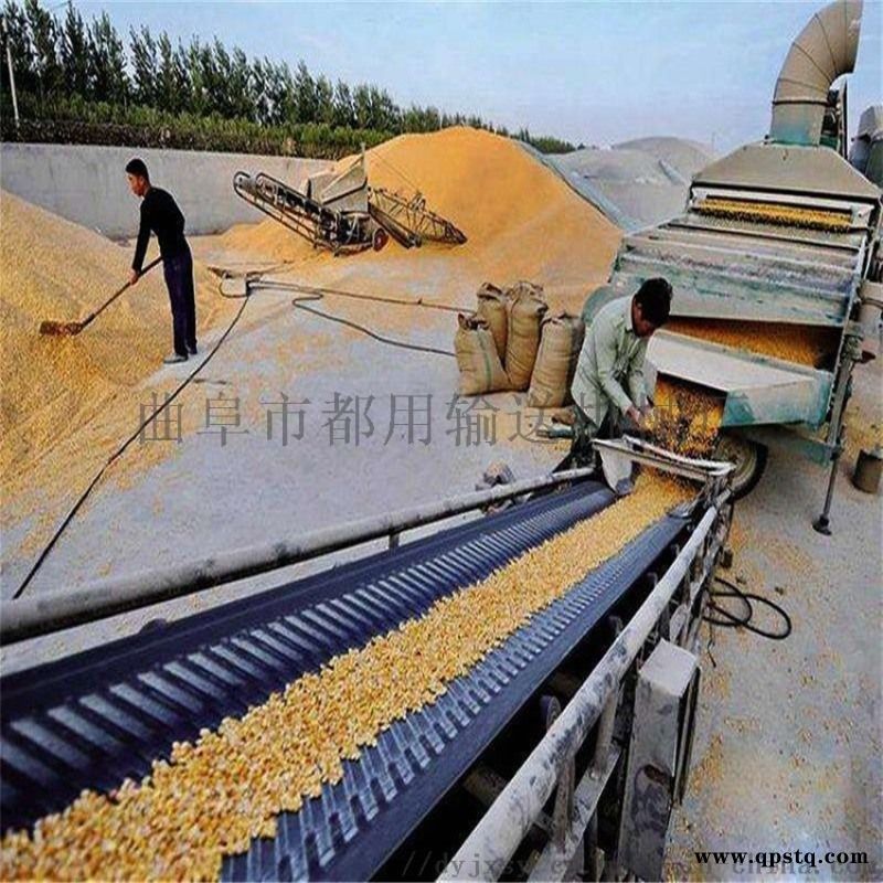 升降带式输送机爬坡挡板皮带输送机 Ljxy皮带输送图2