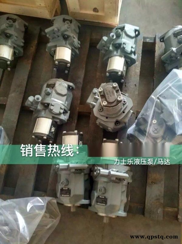 进口力士乐A2FO63/61R-PBB05抱罐车液压油泵图5