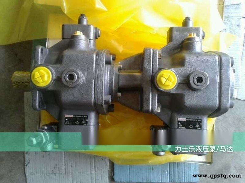 混凝土泵车主油泵6423/6433德国图2