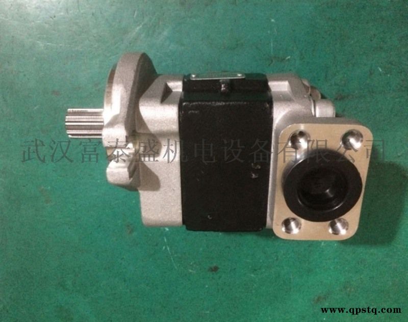 SGP1A20A2H9-R205C齿轮油泵图4