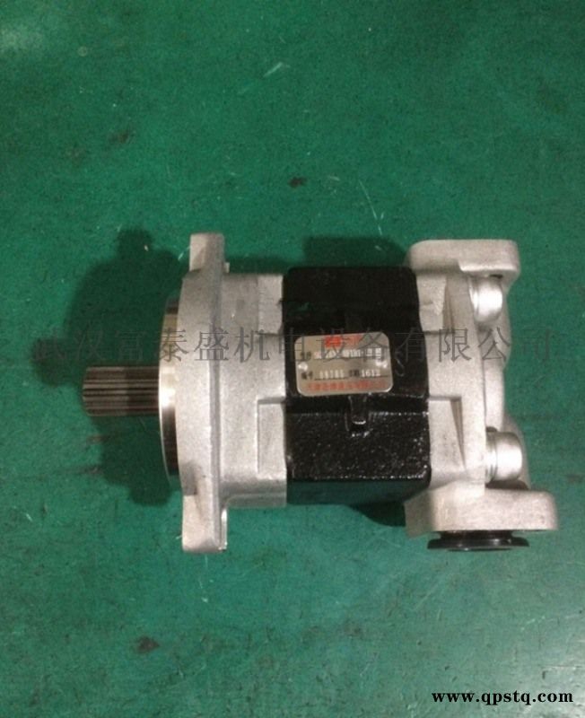 DSG05A23F9H1-R265C齿轮油泵图5