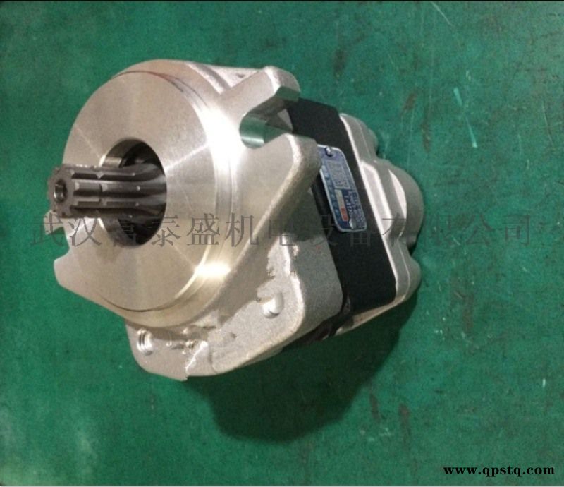 DSG05C16F9H1-R016C齿轮油泵图2