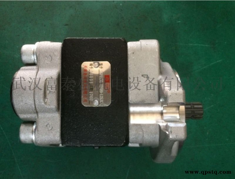 DSG05A23F9H1-R265齿轮油泵图4