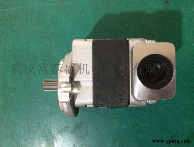 DSG05A23F9H1-R265齿轮油泵图3