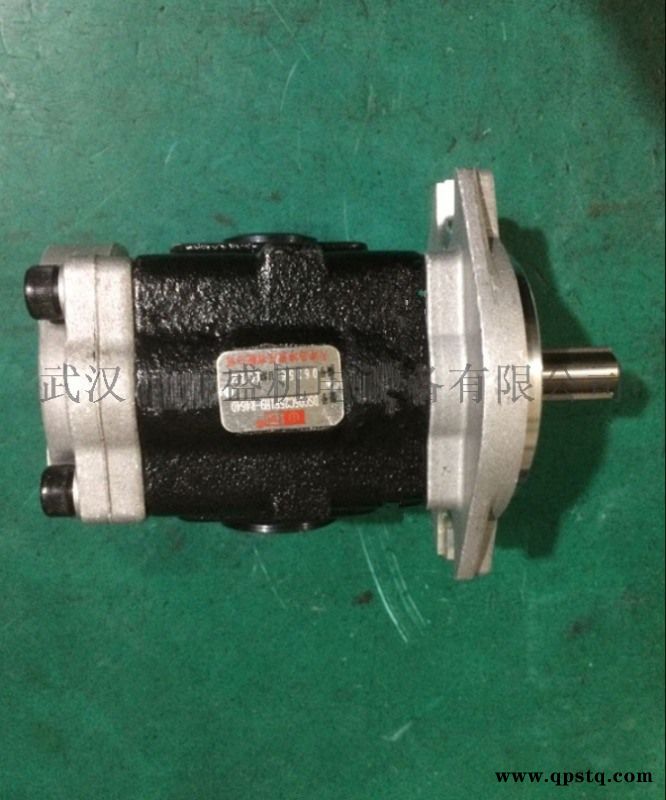 SGP1-32AS1HH-L201C齿轮油泵图2