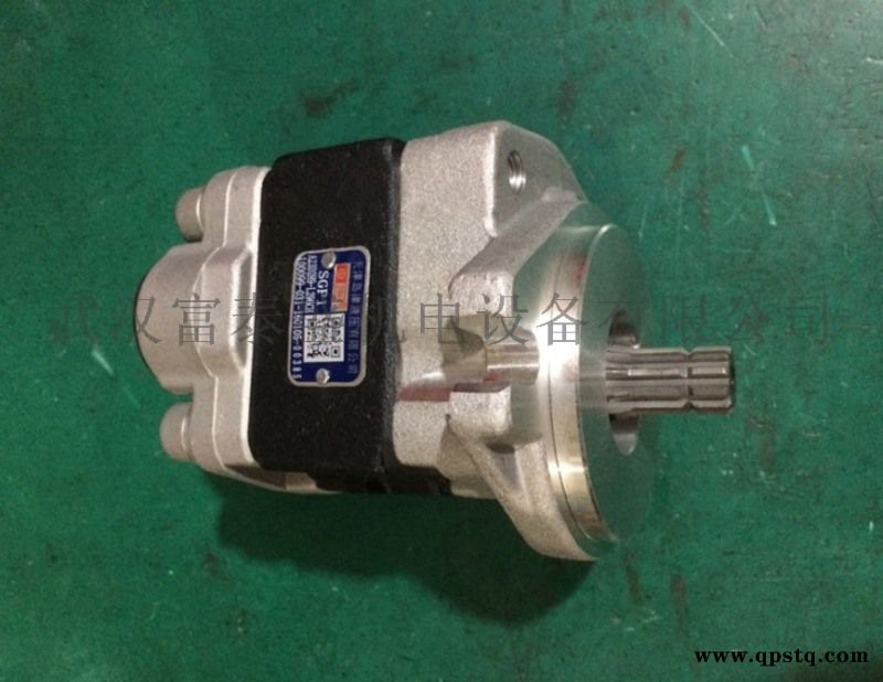 SGP1A20ARH2H9-R205C齿轮油泵图3