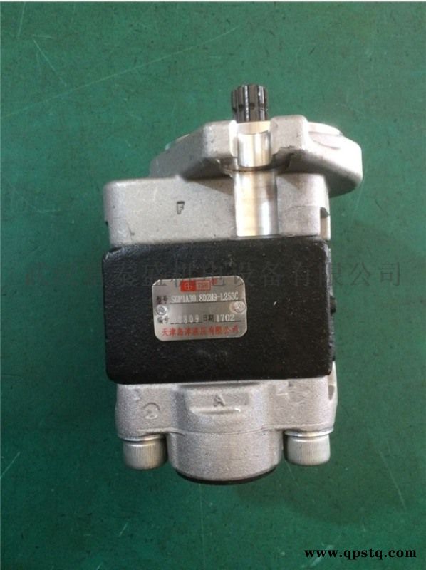 SGP1A20ARH2H9-R205C齿轮油泵图4