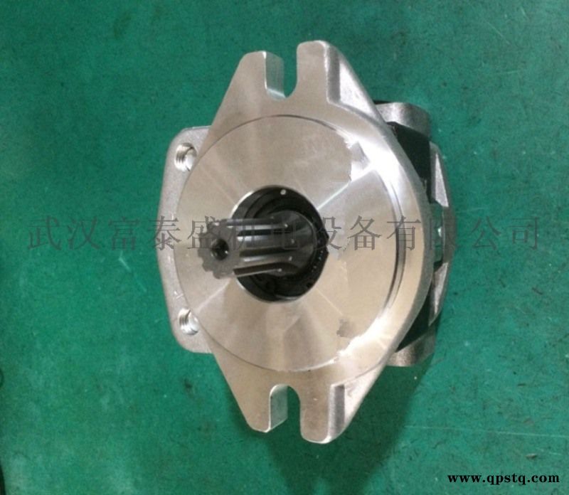 TCMZ85-7T TDPY-365F2H1-R064D齿轮油泵图1