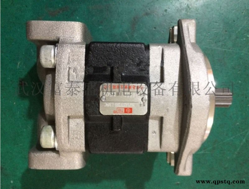 岛津液压DSG05C23F9H1-R213C齿轮油泵图2